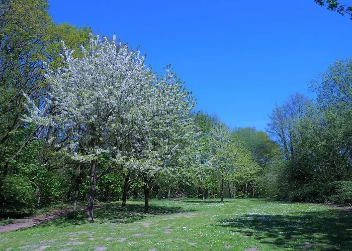 Lägenhet Panoramic App A03-1 *